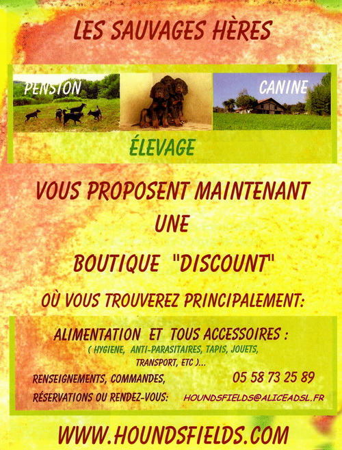 BOUTIQUE DISCOUNT